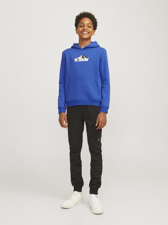 Actual product image Jack & Jones Jcomountain Logo Sweat Hood Sn Mni (122)