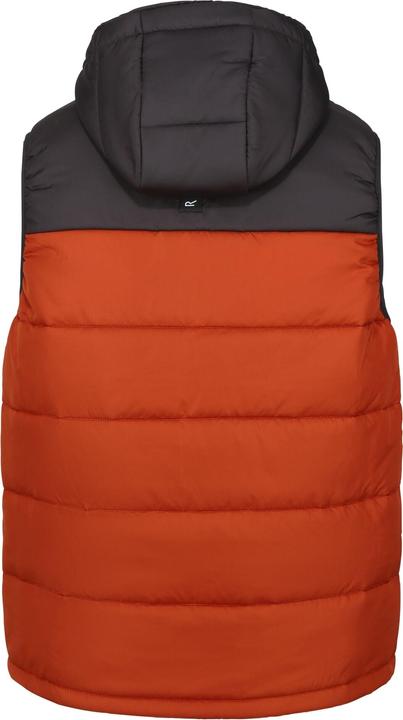 Produktbild Regatta Nevado Weste Schwer Ärmellos (XL)