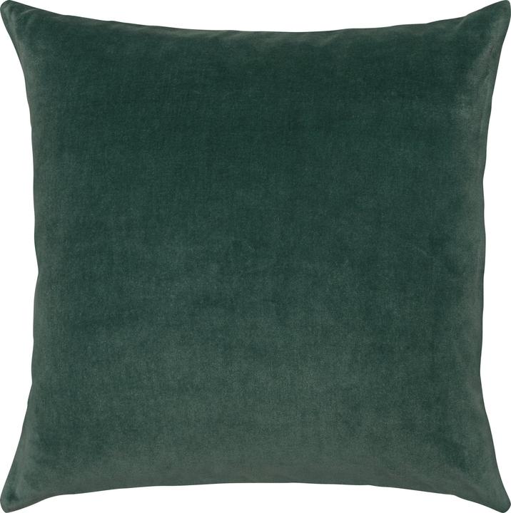 Vert foncé