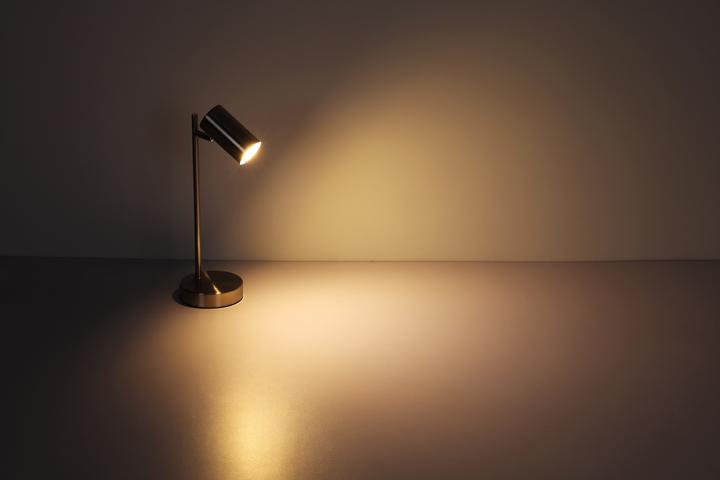 Image du produit Globo Robby (GU10)