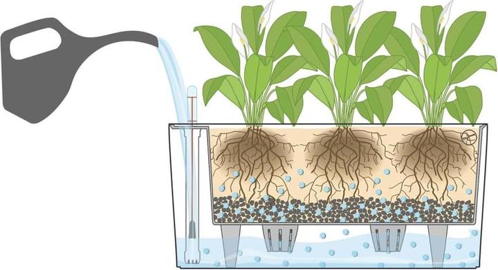 Productafbeelding Lechuza Delta (40 x 15 x 18 cm)