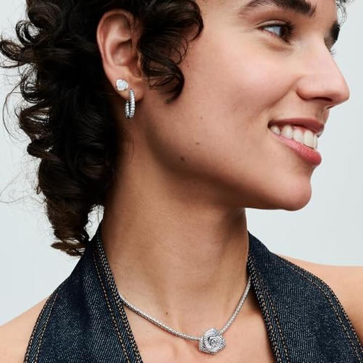 Produktbild Pandora Timeless Pavé (Sterling Silber 925)