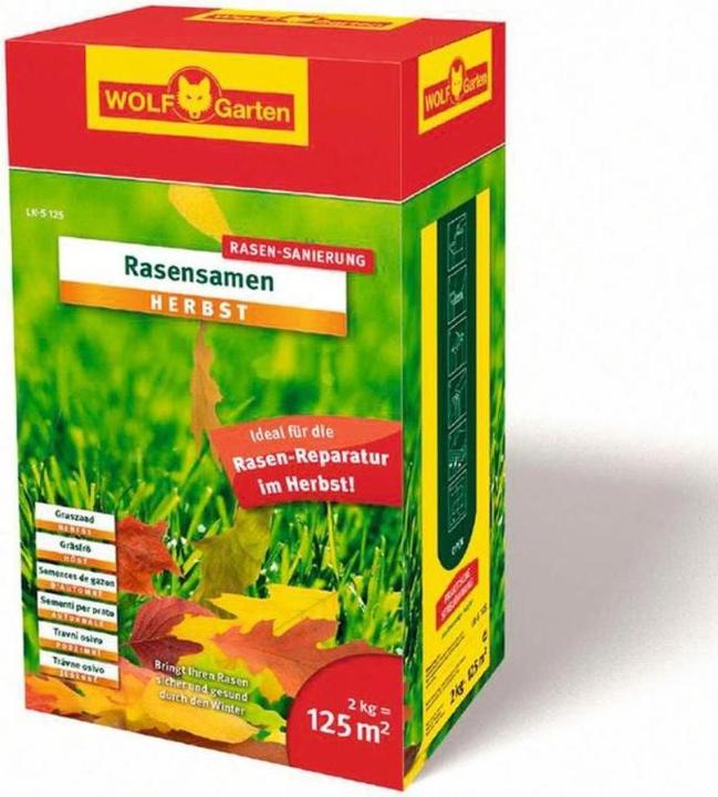 Actual product image Wolf-Garten Lawn seeds (Lawn reseed)