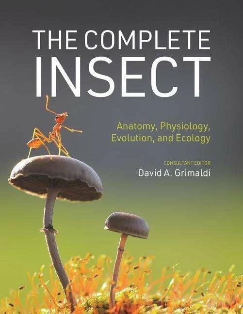 Immagine prodotto The Complete Insect (Inglese, David A. Grimaldi, 2023)