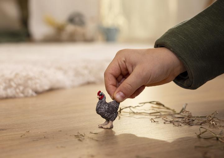 Image du produit Schleich Poulet de Plymouth Rock