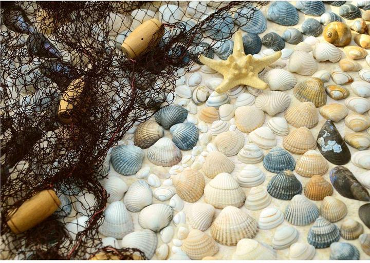 Actual product image Trenddeko Maritime Sea shell (40 x 60 cm)