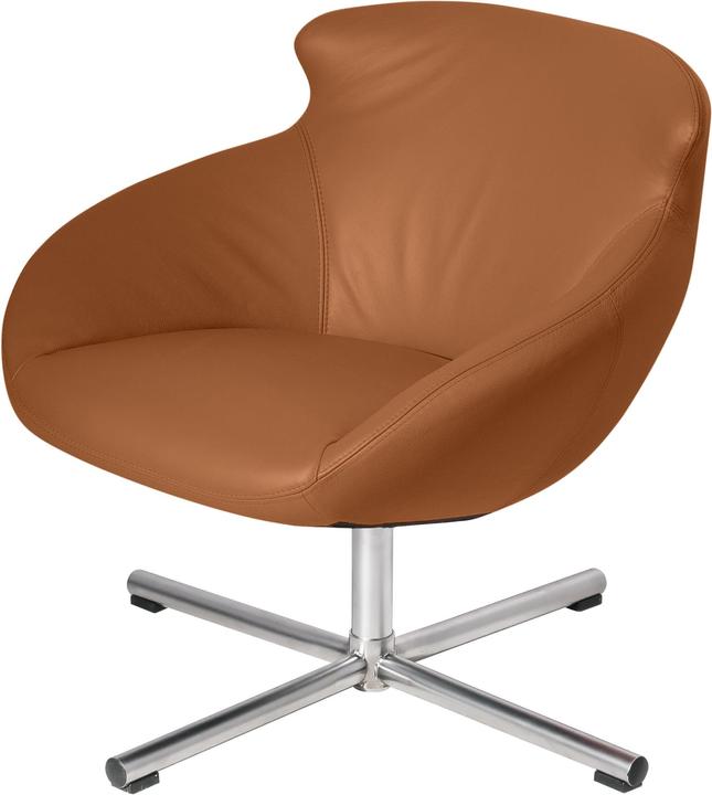 Image du produit Kebe Buddy