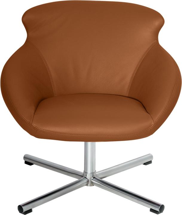 Image du produit Kebe Buddy