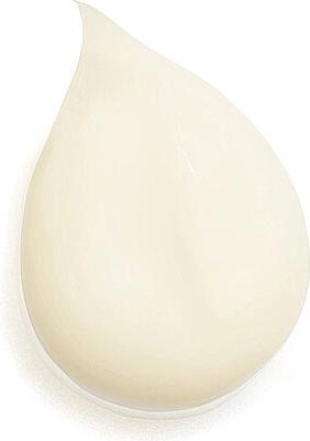 Produktbild Sisley Emulsion Ecologique (125 ml)