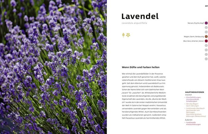Produktbild Selbst Heilen mit Kräutern (Deutsch, Friederike Grönemeyer, 2019)