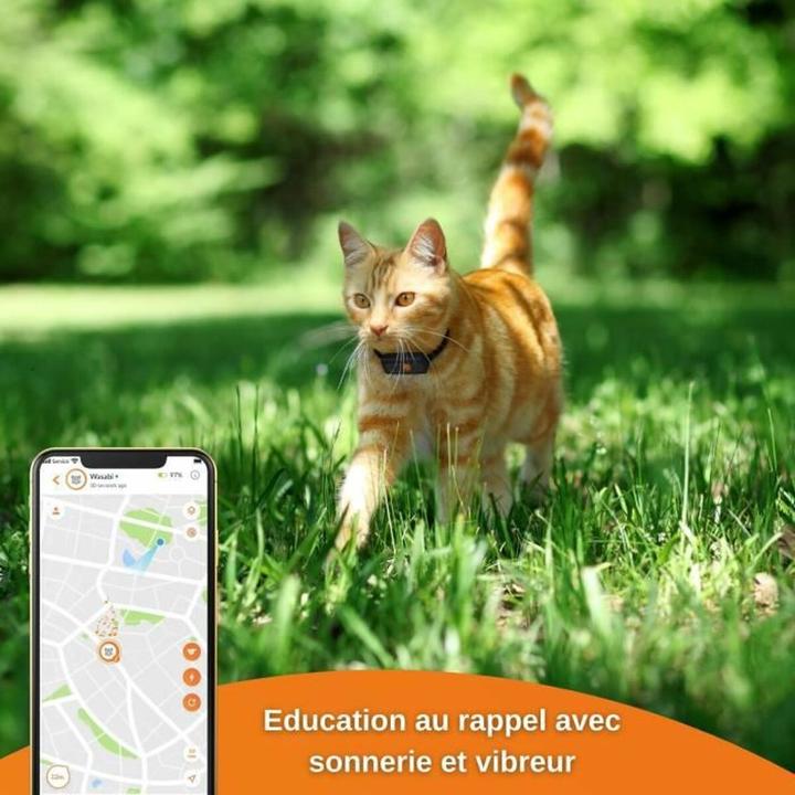Produktbild Weenect GPS-Tracker XS für Katzen (Katze)