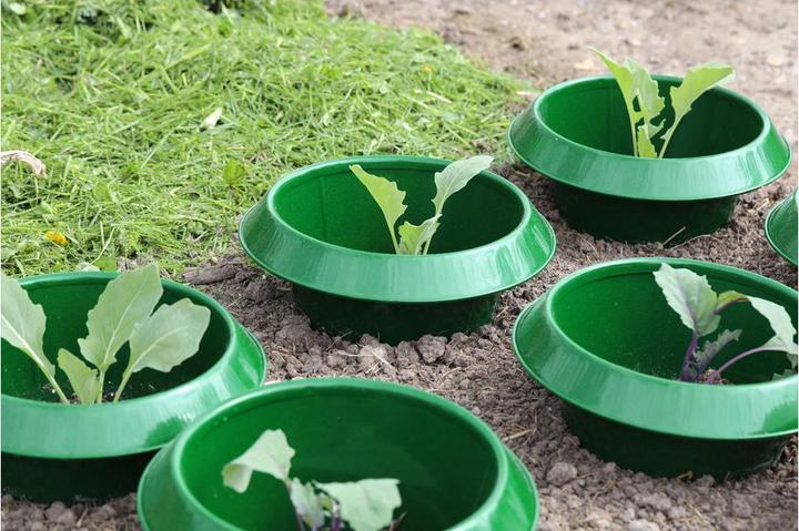 Image du produit Andermatt Biogarten Stop-limaces