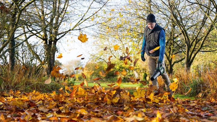 Actual product image Bosch Home & Garden AdvancedLeafBlower 36V-750 (Rechargeable battery operated, Leaf blower)