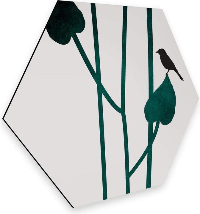 Image du produit Trenddeko Natura (35 x 30 cm)