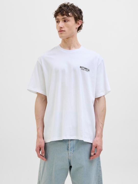 Produktbild Jack & Jones Jorbotaniq Tee Ss Crew Neck Tg Ln (S)