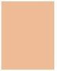 Produktbild Dior Forever No Transfer 24H Foundation (3WP Warm Peach)