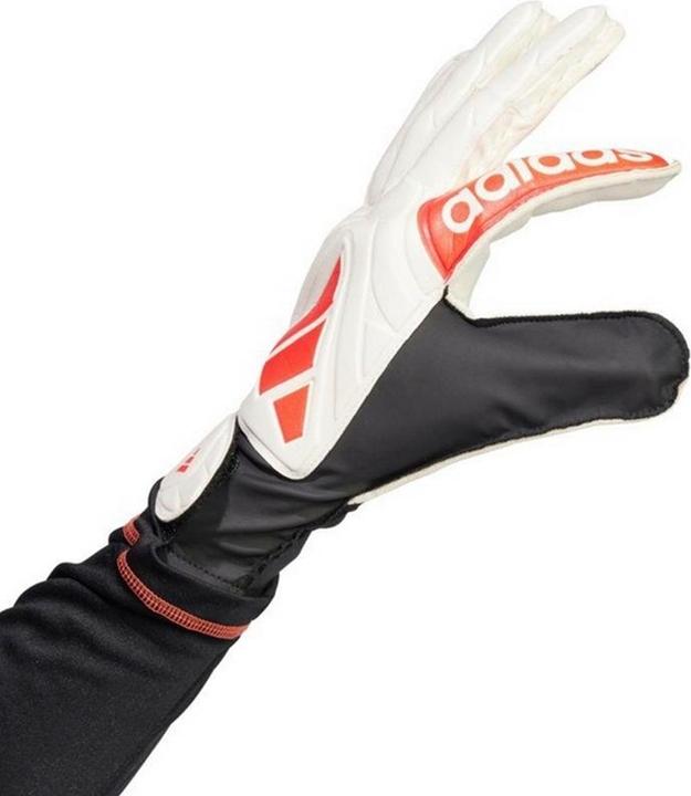 Produktbild Adidas Copa Club TorhüterHandschuhe (9.5)