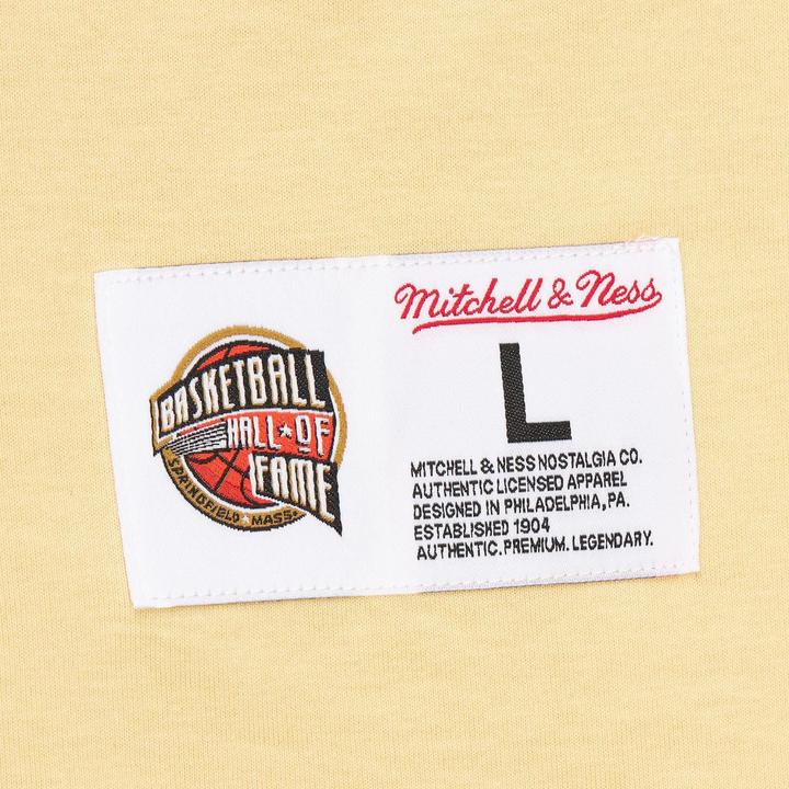 Actual product image Mitchell & Ness Vince Carter HALL OF FAME Premium Shirt cream - S (S)