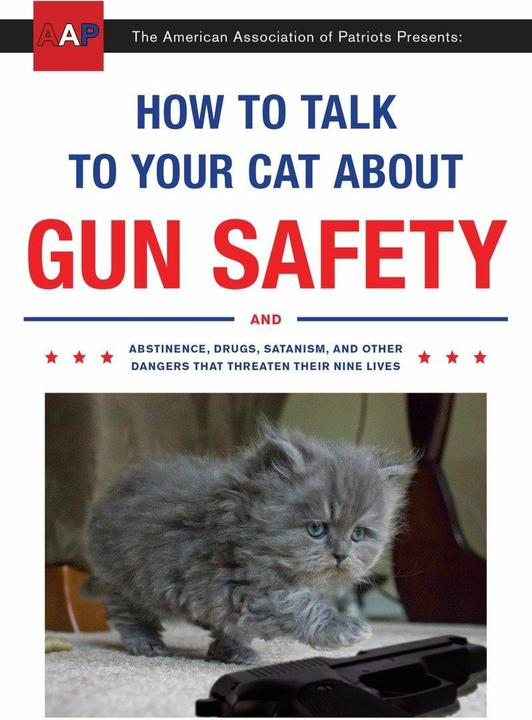 Produktbild How to Talk to Your Cat About Gun Safety (Englisch, Zachary Auburn, 2016)