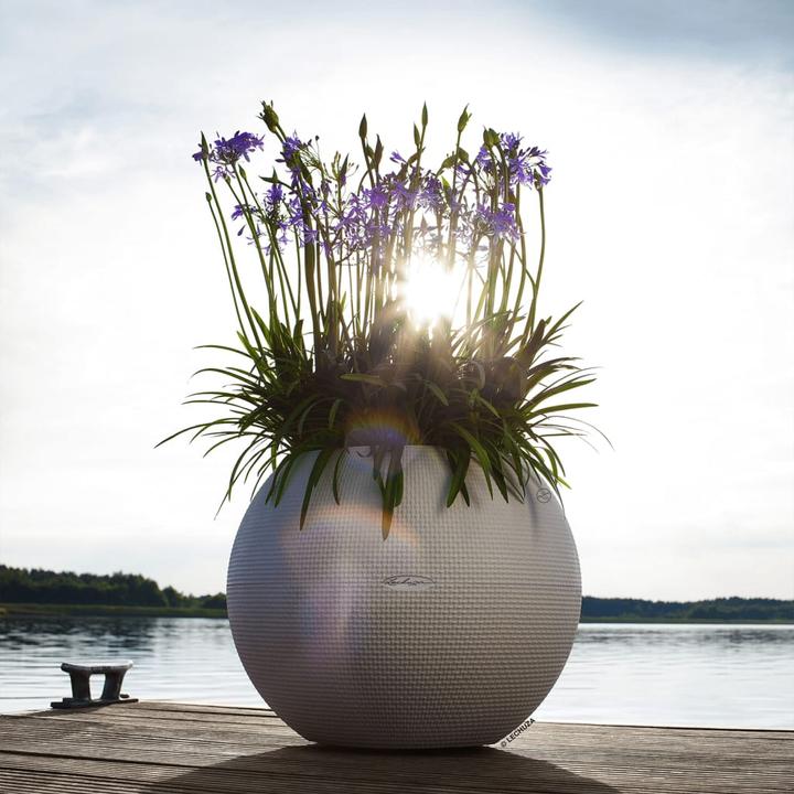 Produktbild Lechuza PURO Color 50 (49 cm)