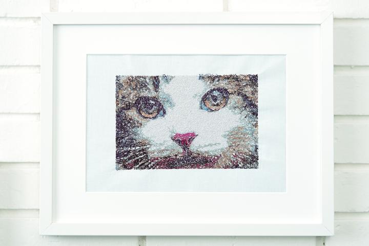 Produktbild Bernina Sticksoftware V8