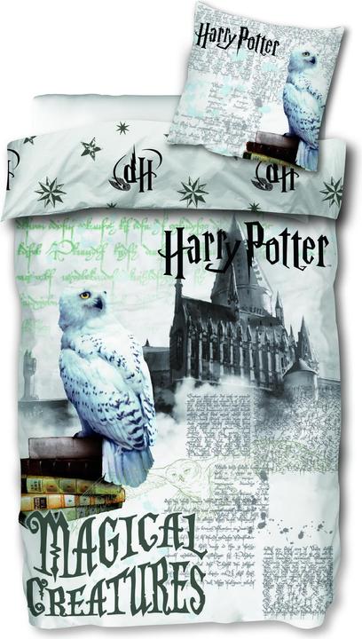 Image du produit SkyBrands Harry Potter