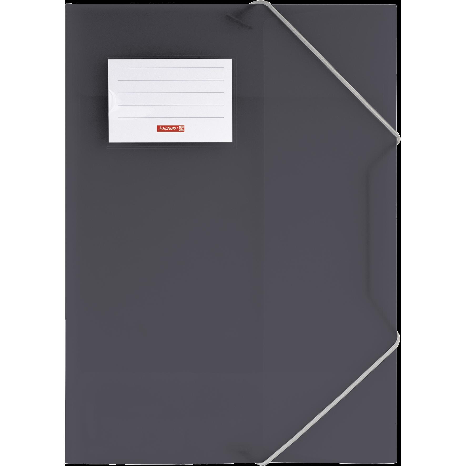 Brunnen, Mappe, Sammelmappe FACT!pp DIN A4 grau transparent (A4, 1 x)