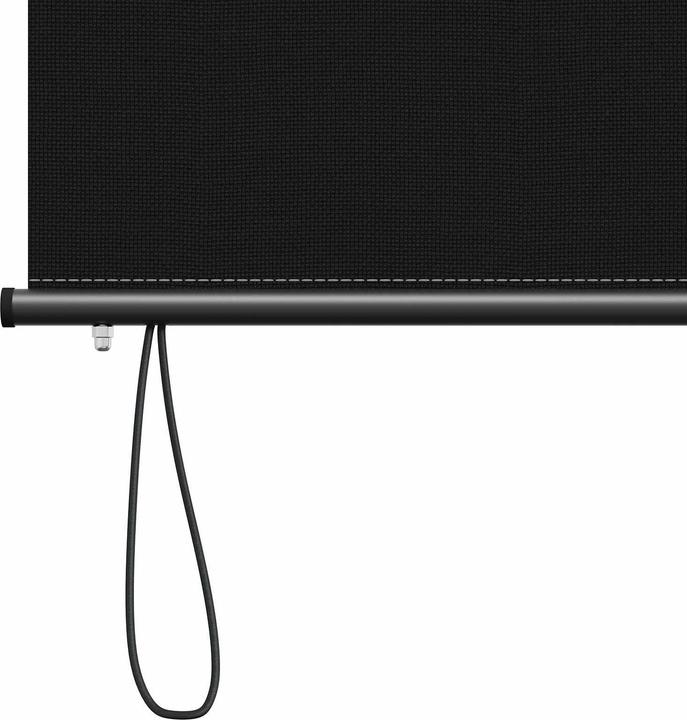 Produktbild vidaXL Outdoor Rollo (80 x 250 cm)