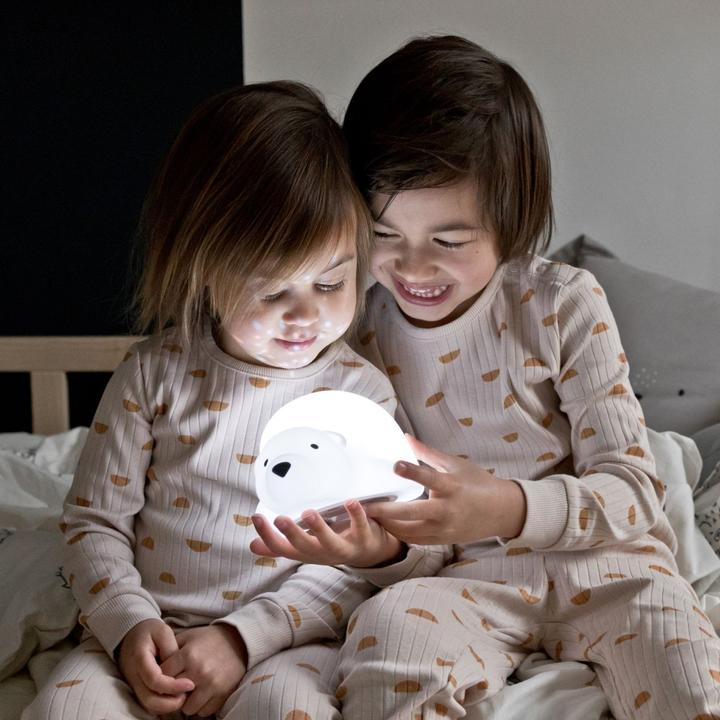 Immagine prodotto Flow Björn Orso Polare Luce notturna Proiettore di luce