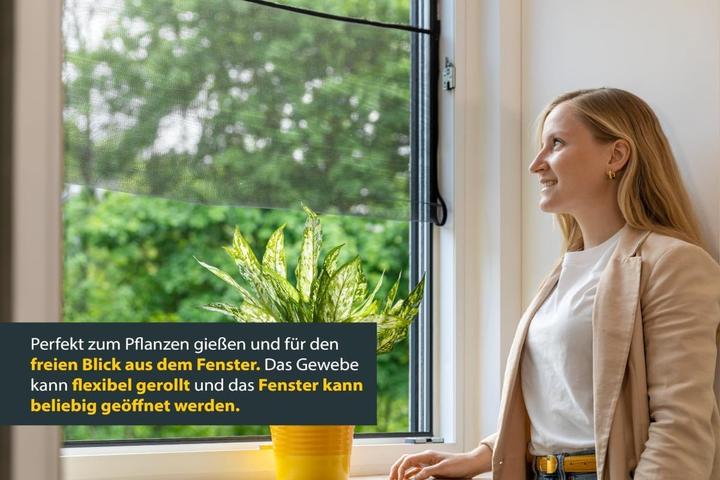 Actual product image Schellenberg Mückennetz (130 x 150 cm)