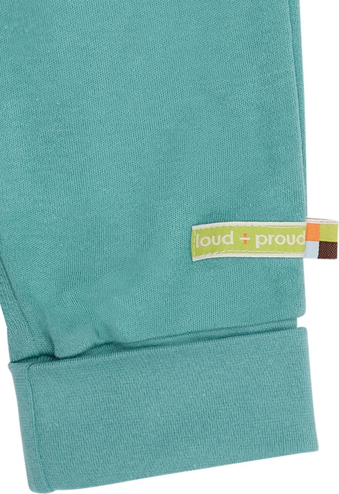 Actual product image loud + proud Trousers (104)