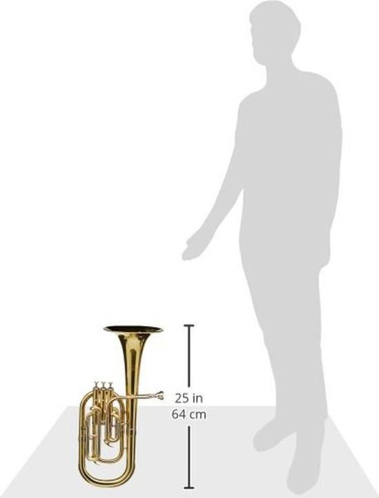 Actual product image Roy Benson Eb Althorn MODAH301 lacquered with case (Bugle)