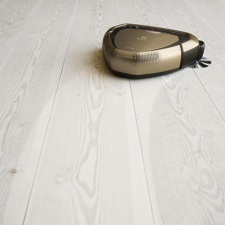 Actual product image Electrolux PI92-6DGM (Robot vacuum)