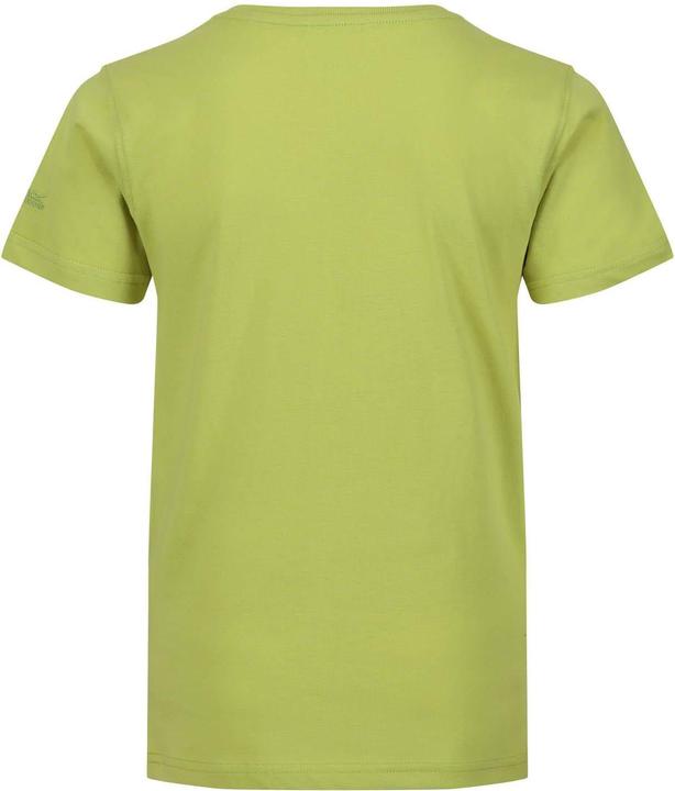 Produktbild Regatta Bosley VI Hawaii TShirt (116)