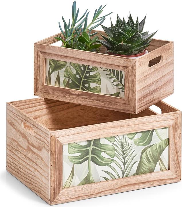 Actual product image Zeller Present Jungle (31 x 12 x 14 cm, 9.11 l)