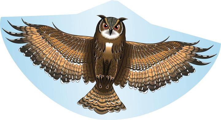 Günther Flugspiele Owl