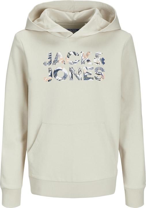 Image du produit Jack & Jones Jjebryan Corp Logo Sweat Hood Noos Jnr (176)