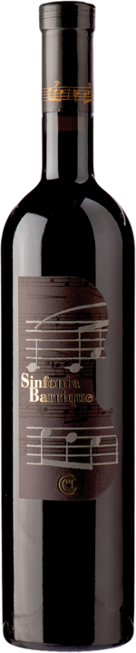 Immagine prodotto Chiericati Vini SA / Angelo Cavalli Merlot Sinfonia (1 x 150 cl, 2012)