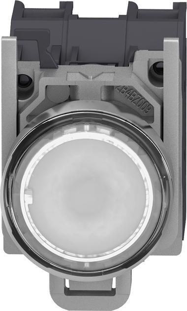 Produktbild Schneider Electric XB4BP183BM5GEX