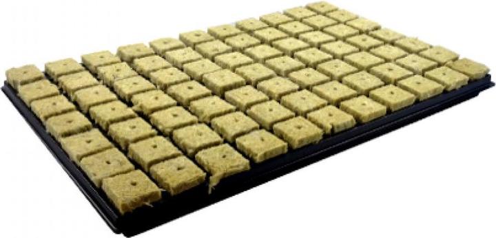 Image du produit Grodan Plateau de bouturage