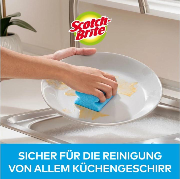 Actual product image Scotch-Brite Fresh (2 pcs.)
