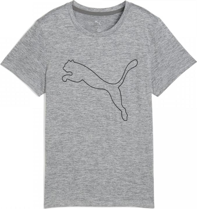 Actual product image Puma W TAD ESSENTIAL Heather Logo Tee (M)