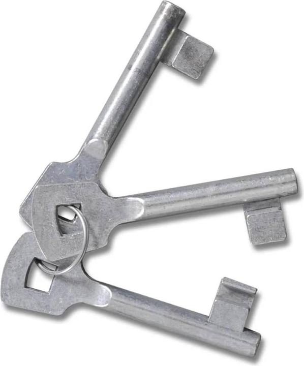 Produktbild vidaXL Gartentor