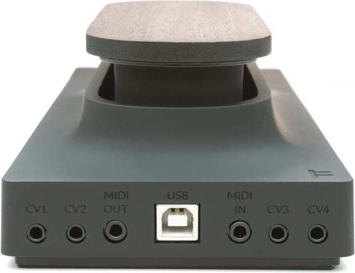 Actual product image Expressive E Touché (Controller)