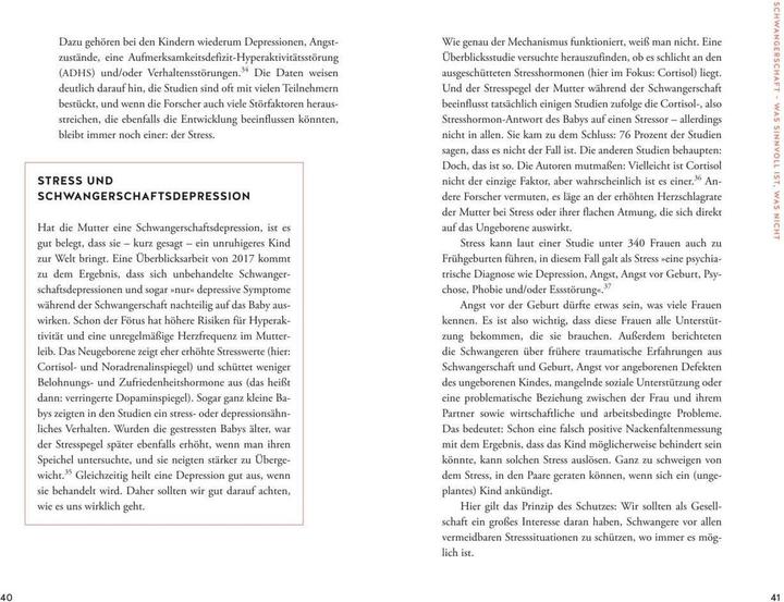 Produktbild Der Elternkompass (Deutsch, Nicola Schmidt, 2020)