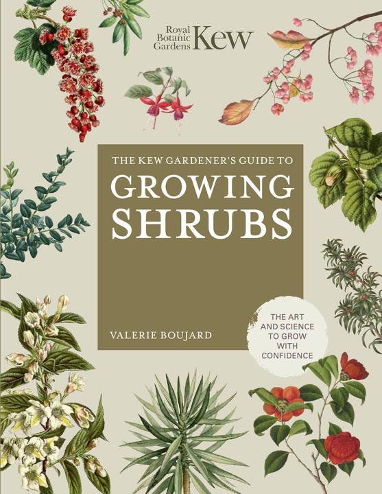 Produktbild The Kew Gardener's Guide to Growing Shrubs (Englisch, Kew Royal Botanic Gardens Boujard, Valerie Boujard, 2023)