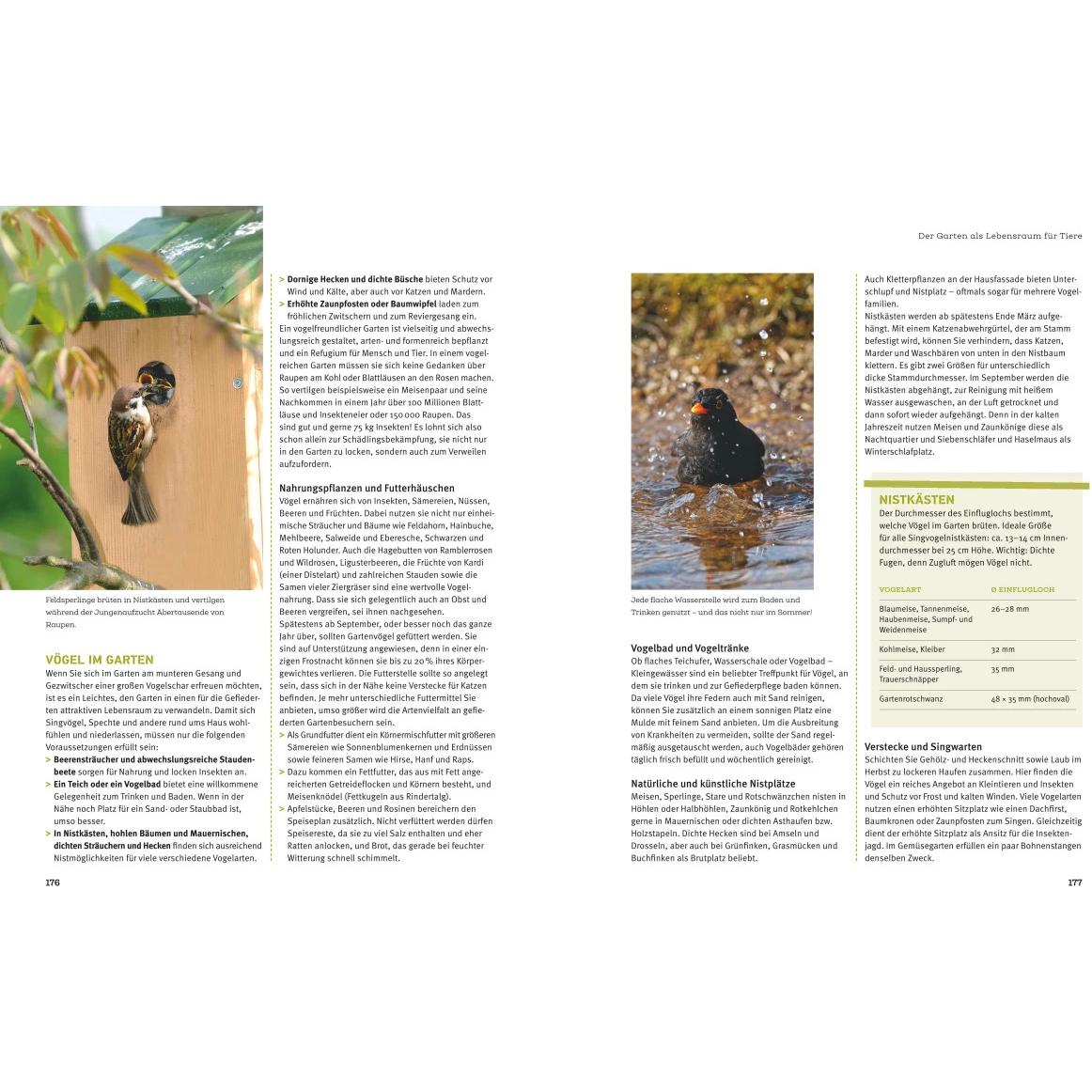 Thumbnail - Projekt Garten, Ratgeber von Folko Kullmann