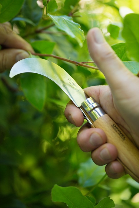Actual product image Opinel No. 10 (8 cm)