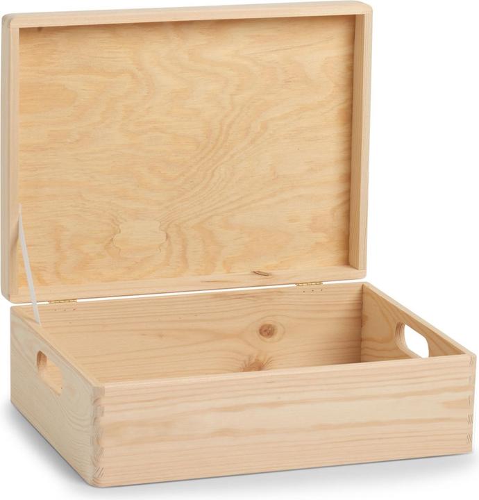Image du produit Zeller Present Boîte polyvalente (40 x 30 x 14 cm, 17 l)
