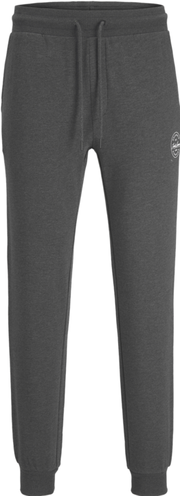 Actual product image Jack & Jones Gordon (M)